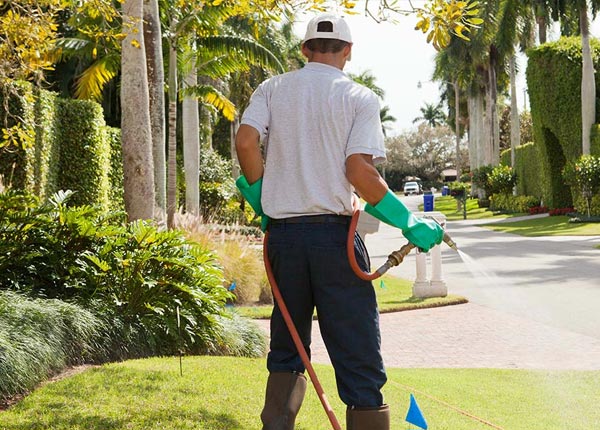 About New Hartford CT Pest Control